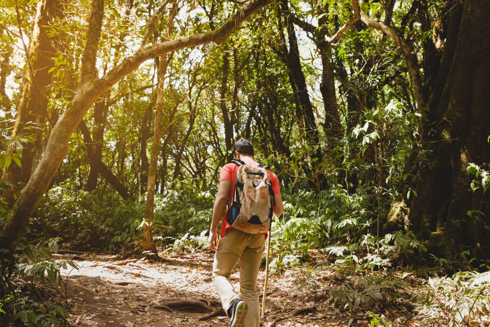 7 principios para cuidar la naturaleza