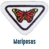 1 mariposas nat