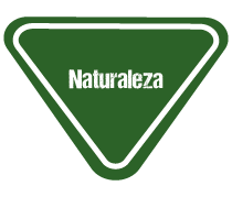 btn-esp-av-nvo-curriculo-grupo-naturaleza.png